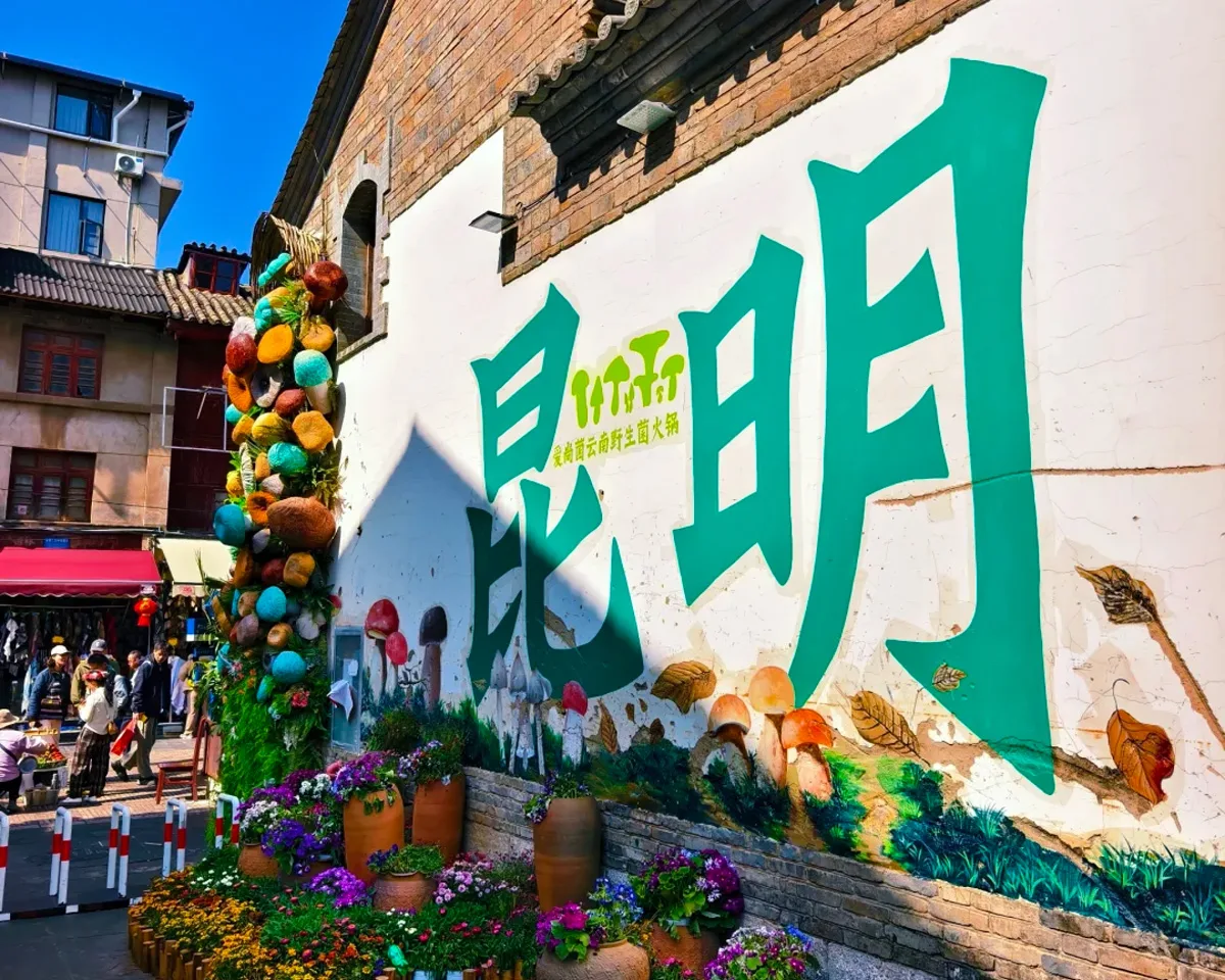 China's Yunnan Highlands