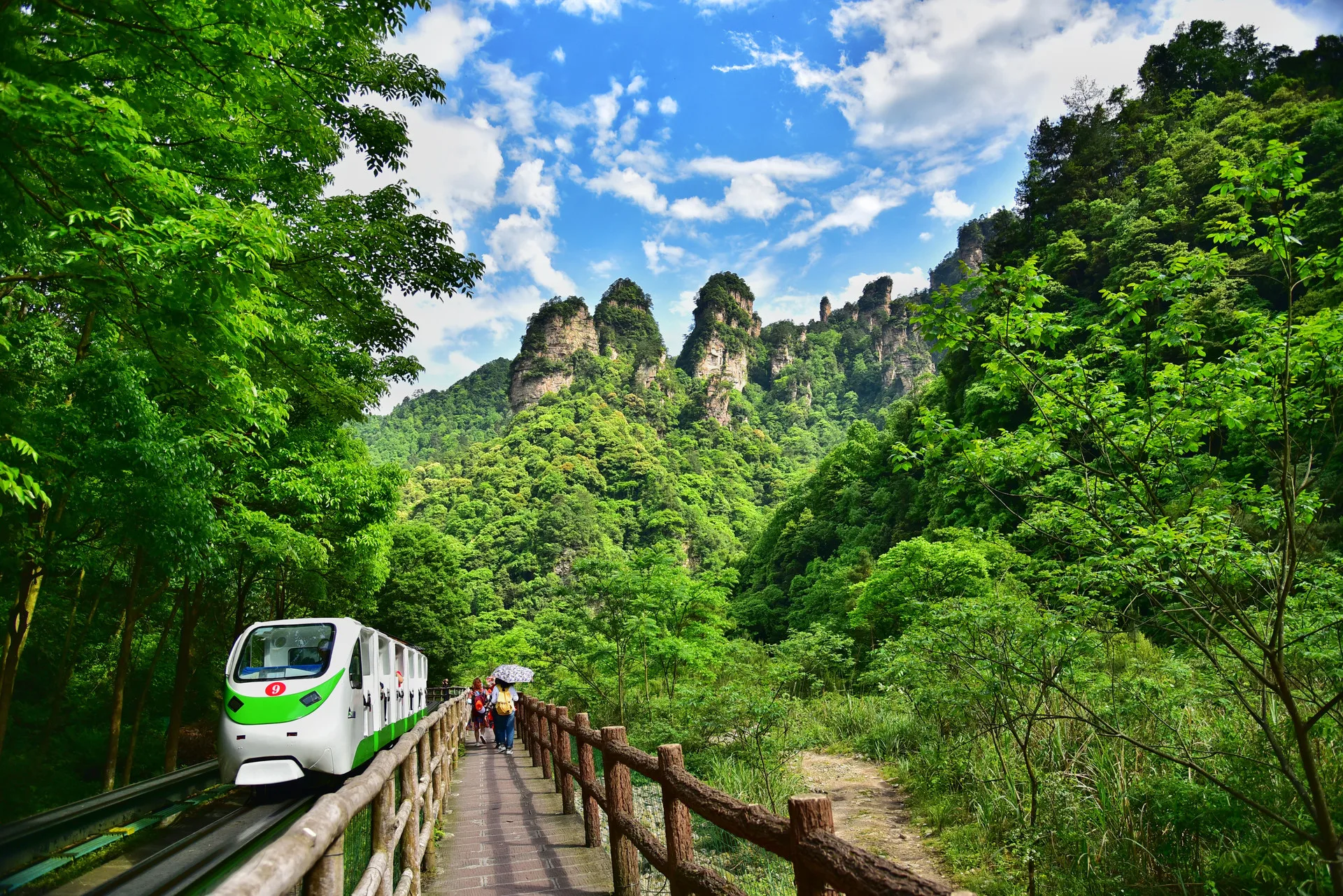 Zhangjiajie: From Forest to Sky
