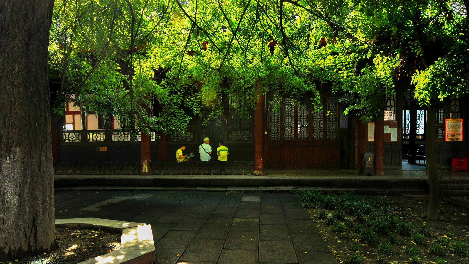 Chengdu:The Art of Taking It Slow