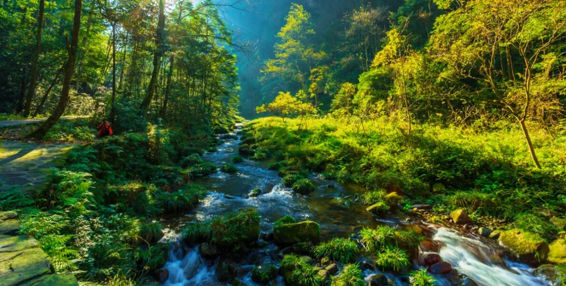 Zhangjiajie: From Forest to Sky