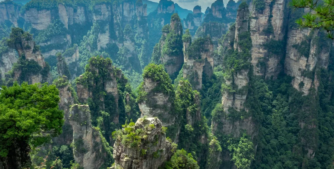 Zhangjiajie: From Forest to Sky