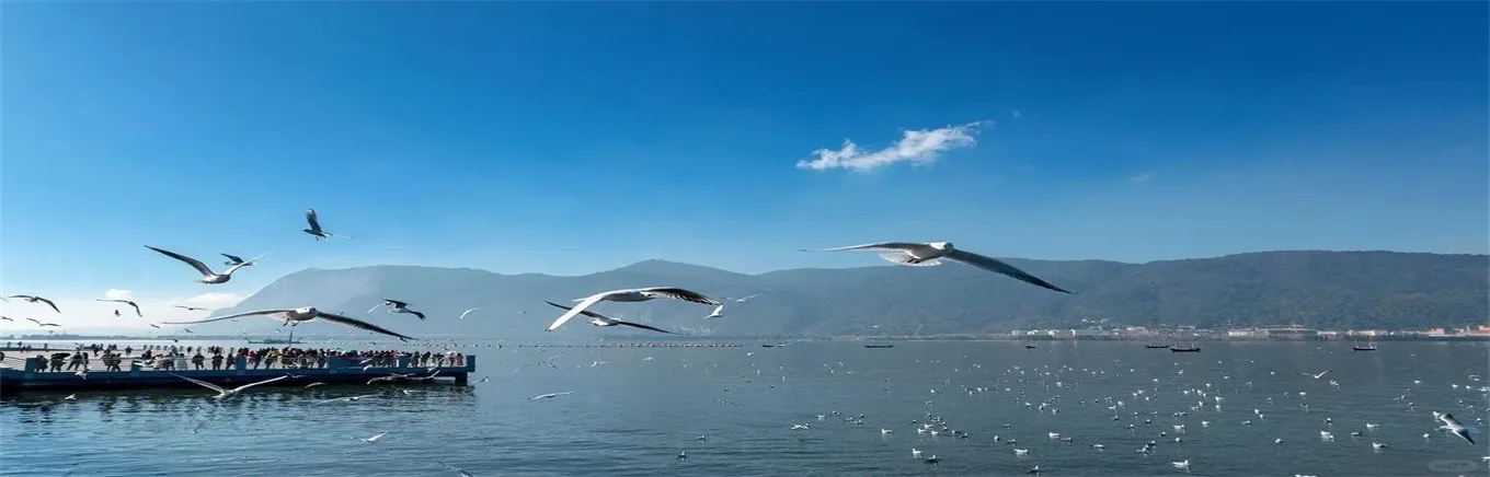 Kunming