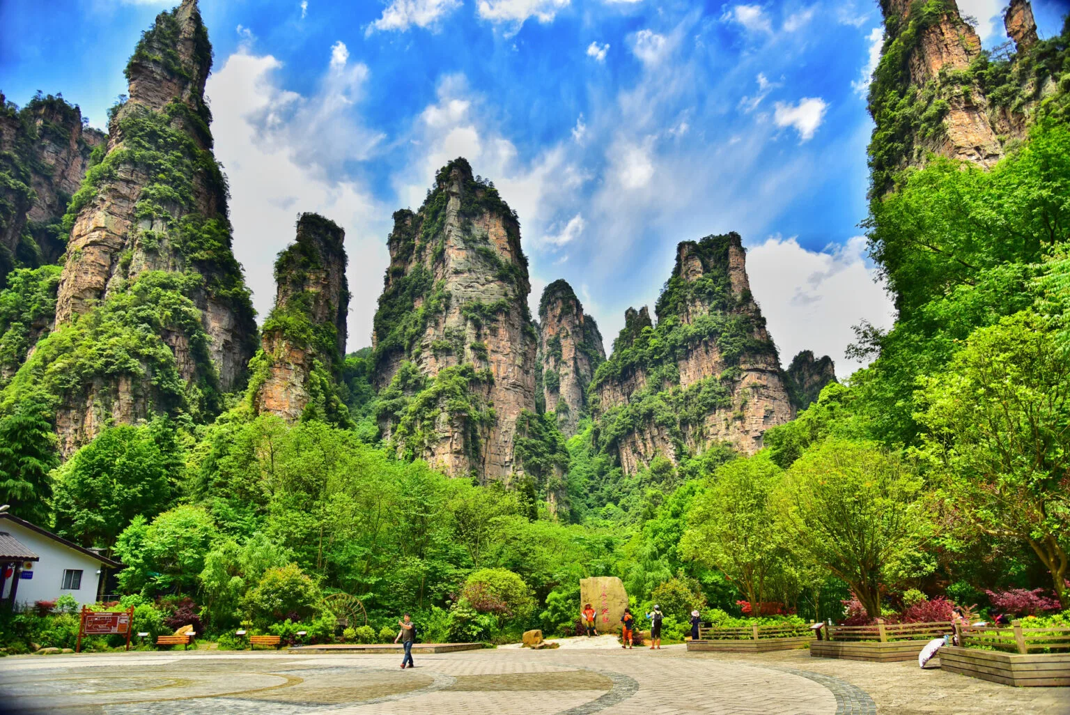 Zhangjiajie Forest Park vs Tianmen: Best First Visit？