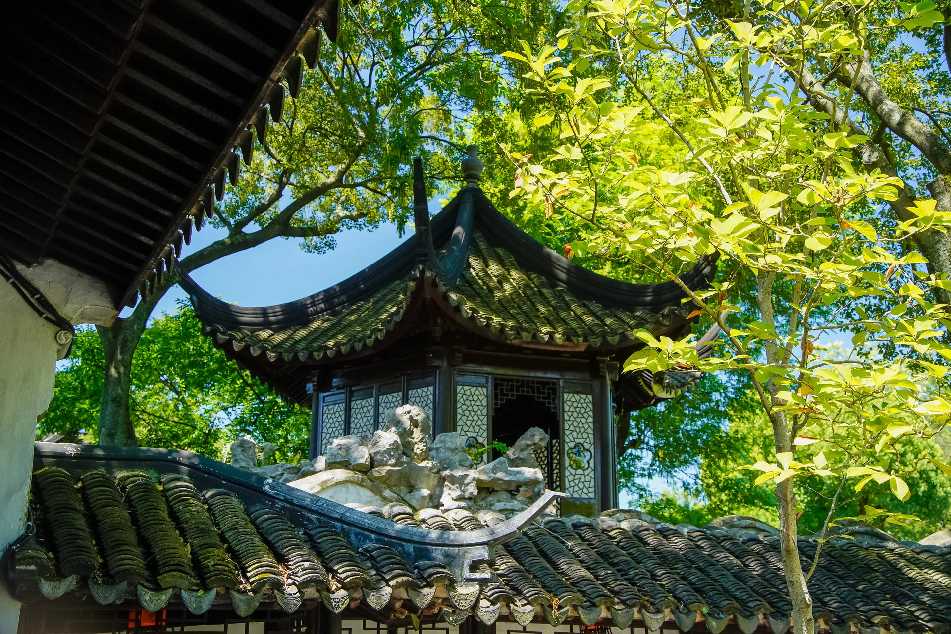 Top 10 Must-Visit Attractions in Suzhou