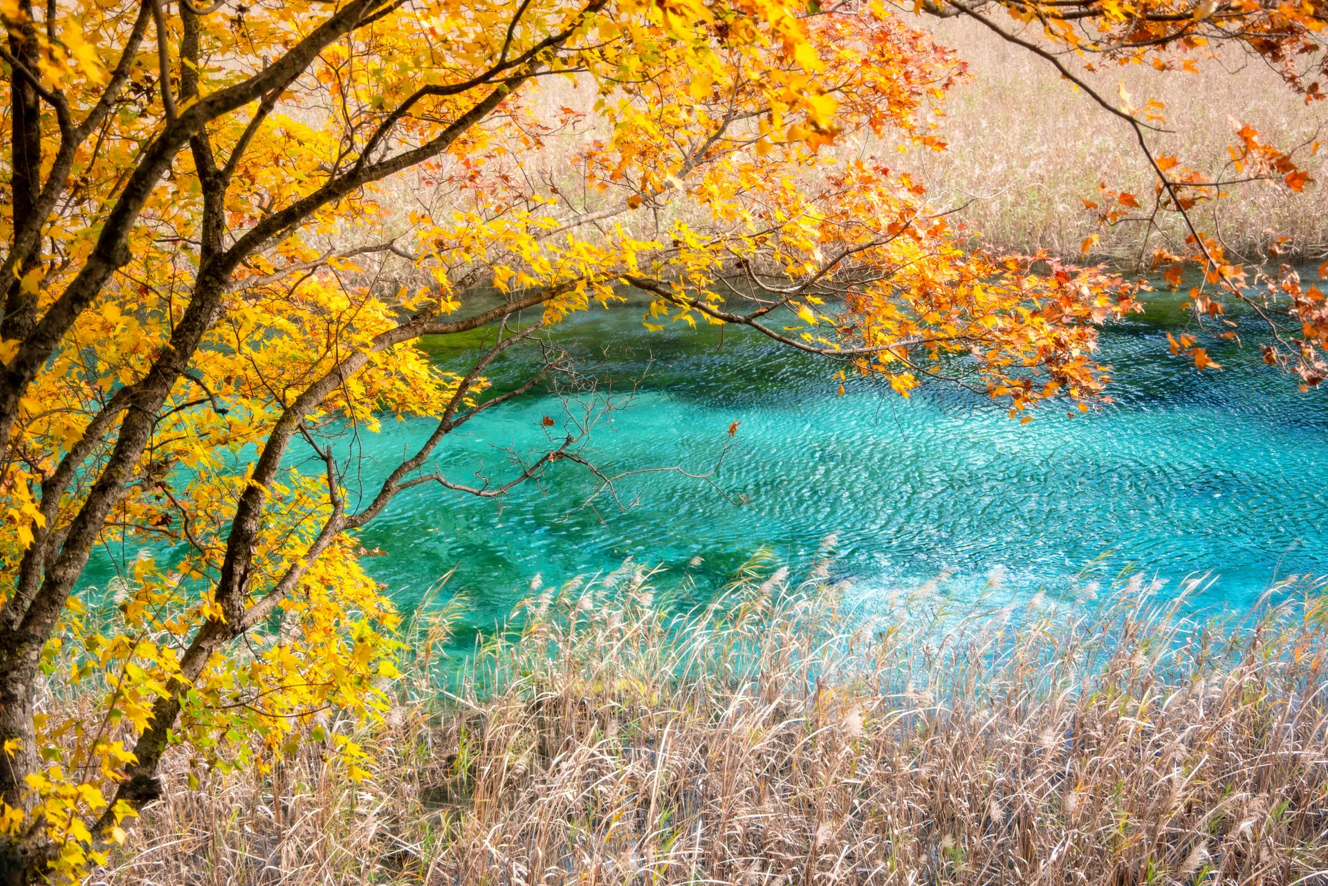 Jiuzhaigou Jiuzhaigou