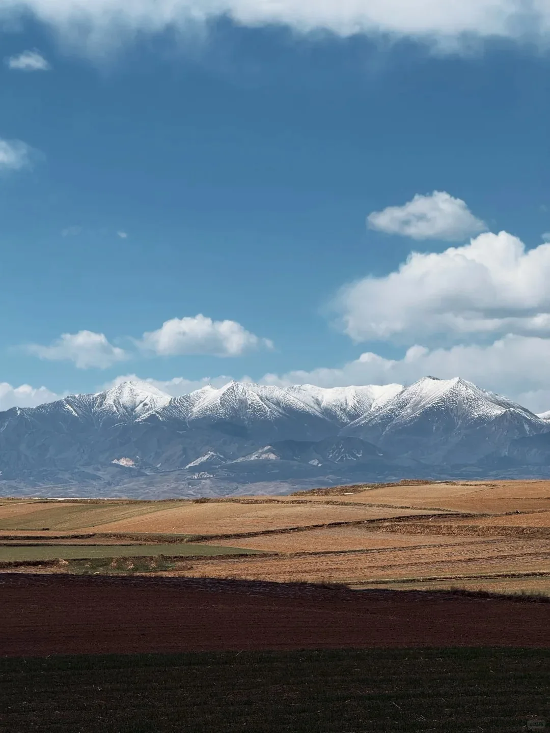 Plateau Acclimatisation Walks