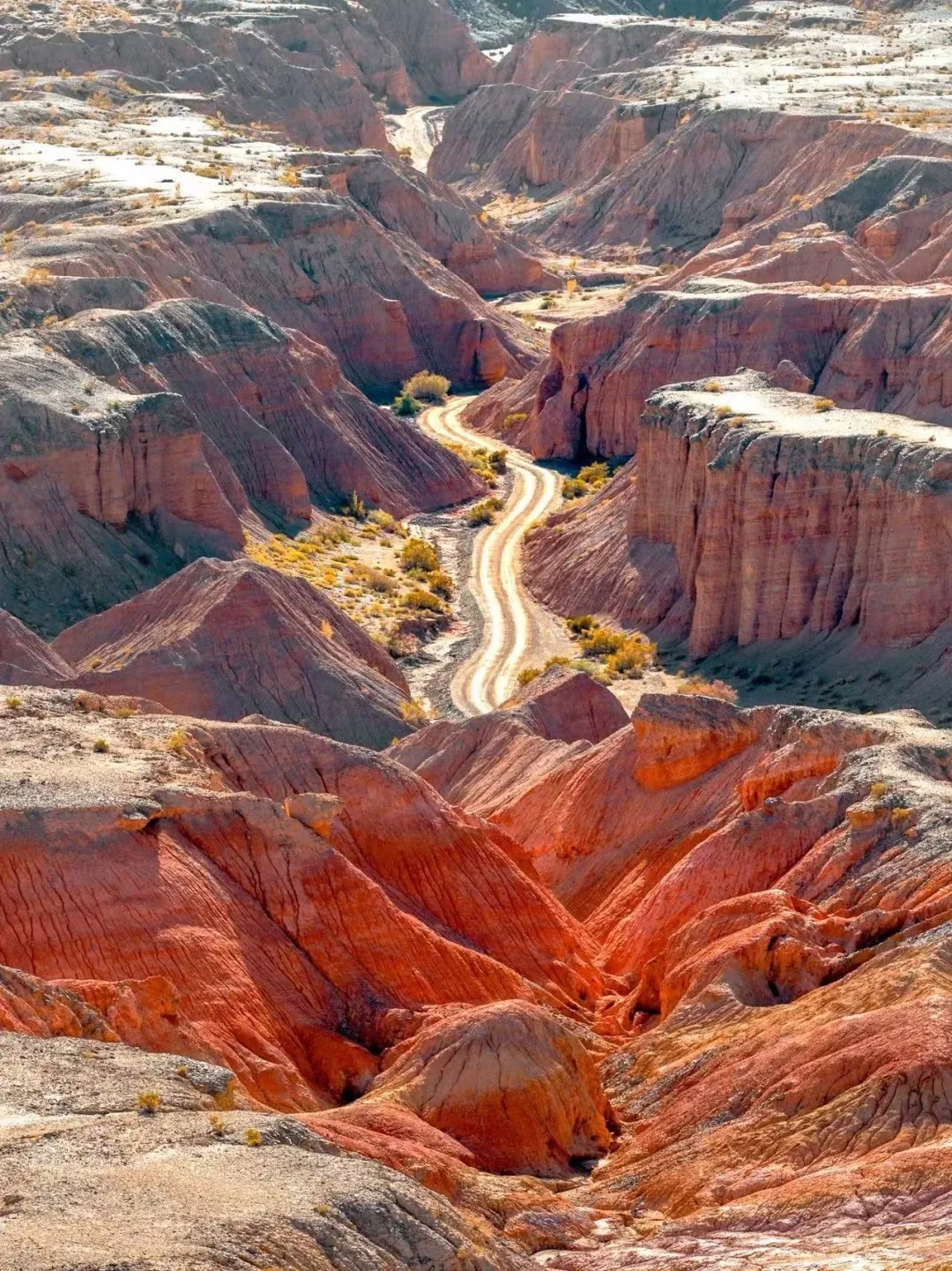 Rainbow Danxia Landform