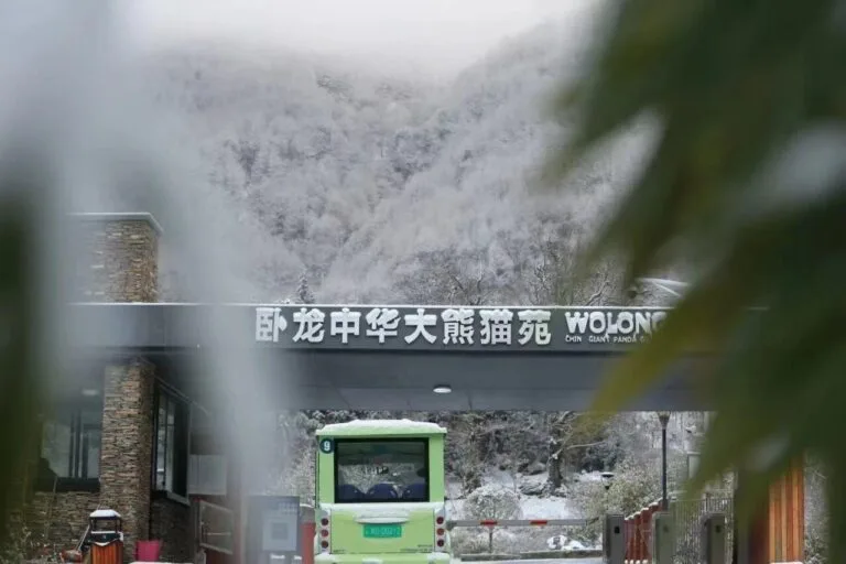 Wolong Giant Panda Garden Shenshuping Base